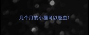 几个月的小猫可以驱虫