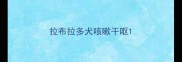 拉布拉多犬咳嗽干呕