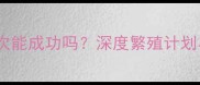 边境牧羊犬配种一次能成功吗深度繁殖计划与成功率提升技巧