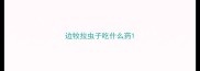 边牧拉虫子吃什么药