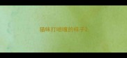 猫咪打喷嚏的样子
