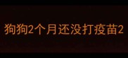 狗狗2个月还没打疫苗