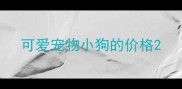 可爱宠物小狗的价格