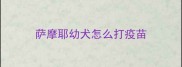 萨摩耶幼犬怎么打疫苗
