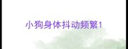小狗身体抖动频繁