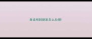泰迪刚到新家怎么处理