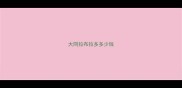 大同拉布拉多多少钱