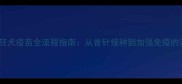 小狗狂犬疫苗全流程指南从首针接种到加强免疫的详细