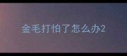 金毛打怕了怎么办