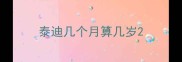 泰迪几个月算几岁