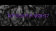 拉布拉多舌头暗粉红