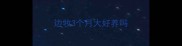 边牧3个月大好养吗