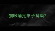 猫咪睡觉爪子抖动