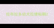 拉布拉多幼犬拉便粘稠