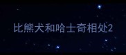 比熊犬和哈士奇相处