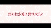 拉布拉多笼子要很大么
