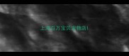 上海百万宝贝宠物店
