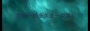 狗狗一般多久洗一次澡