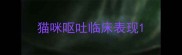 猫咪呕吐临床表现