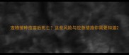 宠物接种疫苗后死亡这些风险与应急措施你需要知道