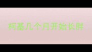 柯基几个月开始长胖