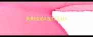 狗狗疫苗8连打几针