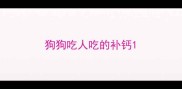 狗狗吃人吃的补钙