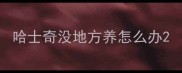 哈士奇没地方养怎么办