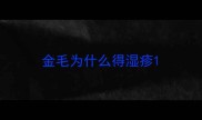 金毛为什么得湿疹