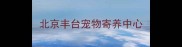 北京丰台宠物寄养中心