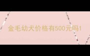 金毛幼犬价格有500元吗