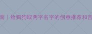 起名指南给狗狗取两字名字的创意推荐和吉祥寓意