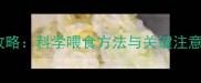 1个月卡斯罗犬喂养全攻略科学喂食方法与关键注意事项附成长周期表