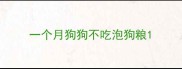 一个月狗狗不吃泡狗粮