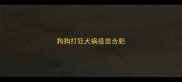 狗狗打狂犬病疫苗合肥