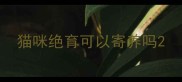 猫咪绝育可以寄养吗