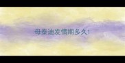 母泰迪发情期多久