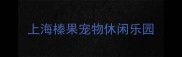 上海榛果宠物休闲乐园