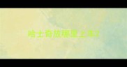 哈士奇放哪里上车