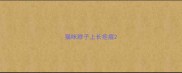 猫咪脖子上长疙瘩