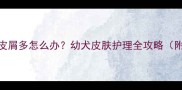 7个月大狗狗皮屑多怎么办幼犬皮肤护理全攻略附解决步骤