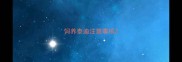 饲养泰迪注意事项