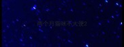 两个月猫咪不大便