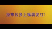 拉布拉多上嘴唇发红