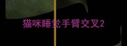 猫咪睡觉手臂交叉