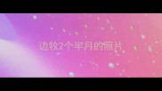 边牧2个半月的照片