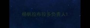 杨帆拉布拉多负责人