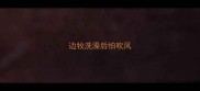 边牧洗澡后怕吹风