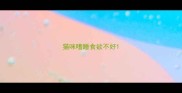 猫咪嗜睡食欲不好