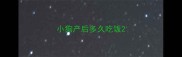 小狗产后多久吃饭